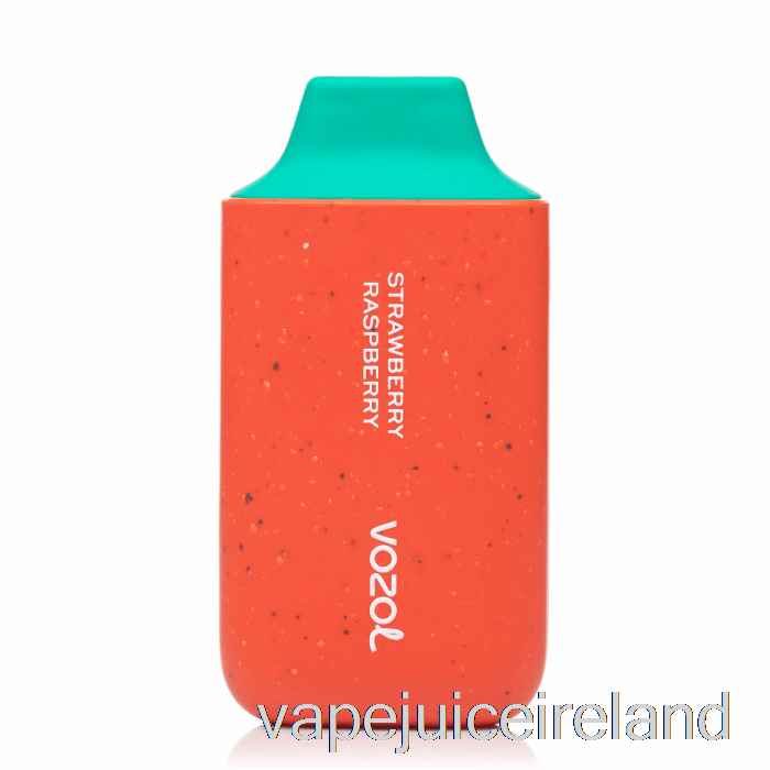 Vape Flavours VOZOL Star 6000 Disposable Strawberry Raspberry